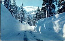 Vintage Postcard Mile High Snow Cascade Mountains WA Washington 1960       L-027 picture