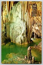 Sacred River Wishing Well Caverns of Luray VA Postcard Chrome Unposted picture