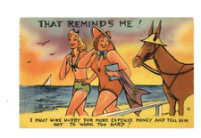 Vintage Comedy Postcard WIRE HUBBY  LADIES  HORSE  BEACH   LINEN  POSTED  1949 picture