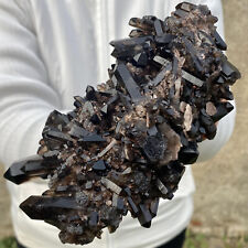 1.8LB Natural Beautiful Black Quartz Crystal Cluster Mineral Specimen picture