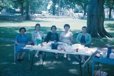 1963 Women Sitting at Outdoor Party Group Photo Vintage 35mm Slide picture