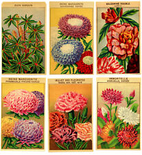 12 French Vintage 1920's Original Lithograph Flower Seed Labels  (F28 picture
