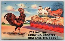 1948 Mother Hen Lays The Eggs It's Not The Rooster Comic Posted Postcard picture