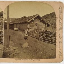 Herdman Mountain Home Norway Stereoview c1897 Farm Cabin Child Goat Photo A2397 picture