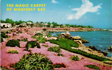 Monterey Bay Pacific Grove CA Magic Carpet Red Pink Unused Vintage Postcard G2 picture