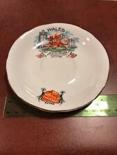 1969 H.R.H Charles Prince Of Wales Caernarvon Castle Bone China Plate  picture