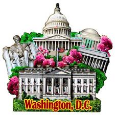 3D Washington DC Magnet picture