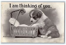 Garrison ND Postcard Humor Puppy Dog Basket I Am Thinking Of You 1910 Antique picture