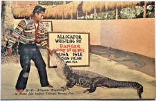 MUSA ISLAND ALLIGATOR WESTLING 1935 Linen Postcard Seminole Indian Miami FL C8 picture