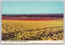 Postcard Flower Fields of San Diego County picture