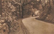 Road and Entrance Lodge Leading to Monticello VA Albertype Postcard D244 picture