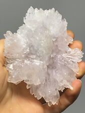 RARE New Find Specialty Amethyst Quartz Cluster Uruguay 4.7oz Beautiful N31 picture
