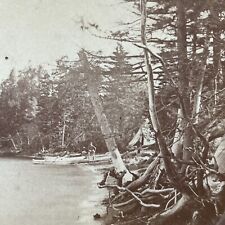 Antique 1860s Hillsborough New Hampshire Shoreline Stereoview Photo Card V2089 picture
