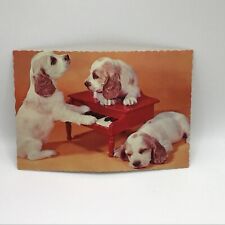 Three Puppys Vintage Postcard picture