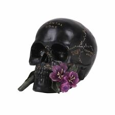  Skull with Rose Figurine Statue Skeleton Halloween picture