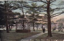 Leominster Massachusetts MA Carter Park Pines 1912 Postcard A28 picture
