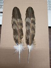 Native American Eagle Feathers Tail Imitation Golden Powwow Regalia Authentic picture
