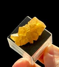 Golden Yellow Fluorite Xls: Giromagny. Belfort. Bourgogne ,France 🇫🇷 picture