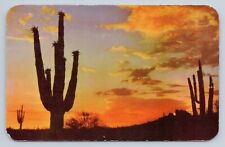 Postcard A Desert Sunset Arizona Sahuaro Cactus picture
