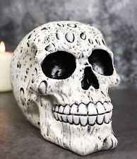 Day of The Dead Raindrops Water Droplets Scene Gothic Skull Figurine Skeleton picture