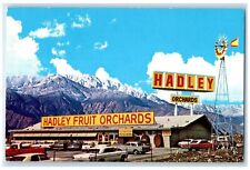 c1960's Hadley Fruit Orchards Windmill Cars Cabazon California CA Postcard picture