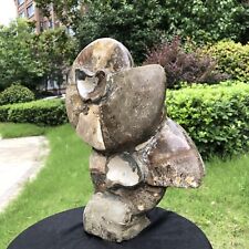 9.79LB TOP Natural Beautiful ammonite fossil conch Crystal specimen heals 1560 picture