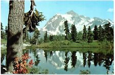 MT SHUKSAN VIEWED FROM HEATHER MEADOWS,WA.VTG 1954 USED POSTCARD*B21 picture