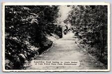 Cook Forest State Park Pennsylvania~Longfellow Trail to Virgin Timber~1940s B&W picture
