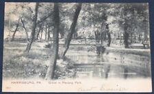 Grove in Paxtang Park, Harrisburg, PA Postcard 1907 picture