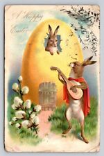 c1905 Raphael Tuck Anthropomorphic Dressed Rabbit Guitar Egg House Easter P146A picture