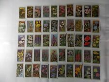 Wills Cigarette Cards Wild Flowers 1923 Complete Set 50 picture