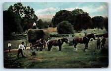 Postcard Famers collecting Hay to place on Horse-Drawn Wagons 1906 J99 picture