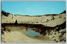 Chesterton, Indiana IN - Indiana Dunes State Park - Vintage Postcard - Unposted picture