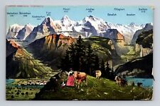 c1913 DB Postcard Keyed Map Bernese Alps Swizterland Cows Lady Boy picture