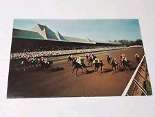 Field Of Thoroughbred Saratoga Race Track New York Horse Racing Vintage Postcard picture