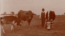 RPPC Boy In A Field w/ Cattle Bulls Cow Landscape View VINTAGE Postcard picture