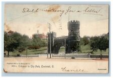 1907 Entrance To City Park Cincinnati Ohio OH Handcolored Rotograph Postcard picture