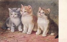 Three Kittens Postcard 1910's picture