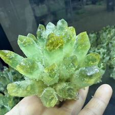 300g+ Newly discovered green phantom quartz crystal cluster minerals picture