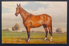 Postcard Horse by Stehli Brothers Switzerland, Antique No. 146 A/S Alderson picture
