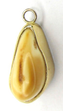 Antique 10k Yellow Gold, White Gold Back Elks Tooth Fob / Pendant - 3.5 Grams picture