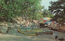 Postcard OH Toledo Ohio Wonder Valley Childrens Zoo Unposted Vintage PCG8550 picture