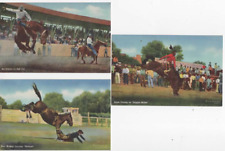Rodeo  postcards x 3 1935  3 famous cowboys on bucking broncos picture