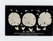 Postcard The Sand Dollar picture