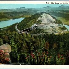 c1930s Loop on the L&N Railroad Birds Eye Teich Asheville Postcard Co Linen A215 picture