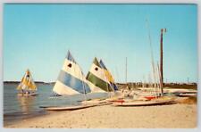 1960-70's REHOBOTH BEACH DELAWARE A DELIGHTFUL DAY ON THE BAY SAILBOATS POSTCARD picture