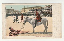 1906 Postcard Los Angeles Oh Come Off Beach Posted Donkey Vintage California picture