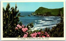 Postcard - The Beautiful Rhododendrons and the Blue Pacific - Oregon picture
