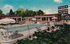  Postcard Tioga Motor Court Williamsburg VA  picture