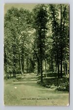 Palisades NJ-New Jersey, Lovers' Lane Park, Vintage c1908 Postcard picture